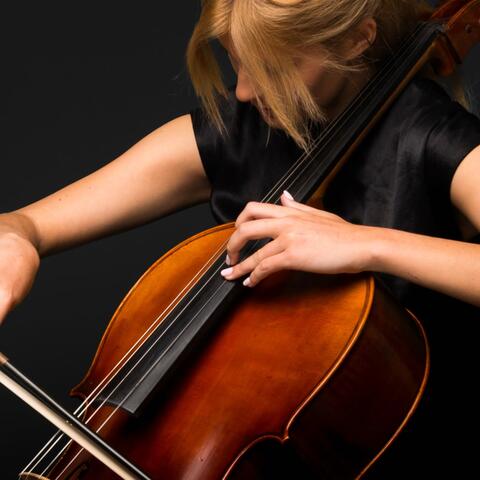 Sleep with the Symphony: Orchestra Sounds album art