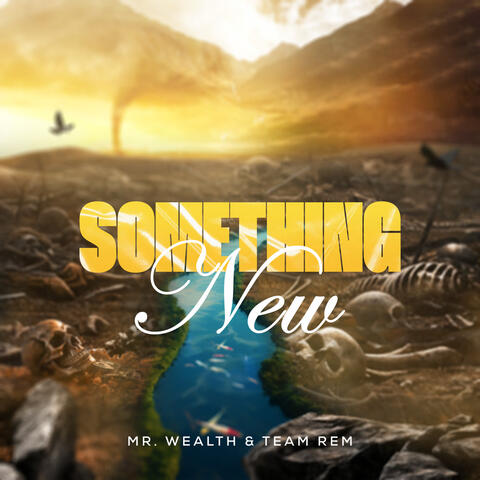 SOMETHING NEW album art