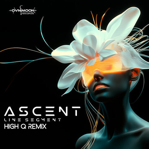 Line Segment album art