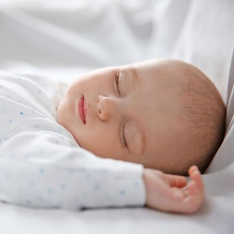 Lofi Serenades for Sweet Baby Sleep album art