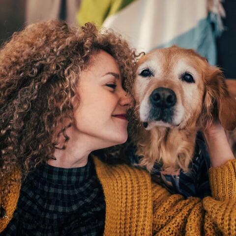 Lofi Melodies for Dogs��� Relaxation Time album art