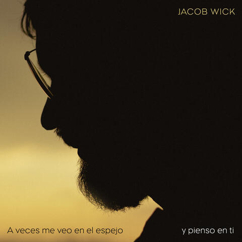 a veces me veo en el espejo y pienso en ti album art