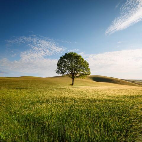 Music For Quiet Moments And The Slow Unfolding Of Time album art
