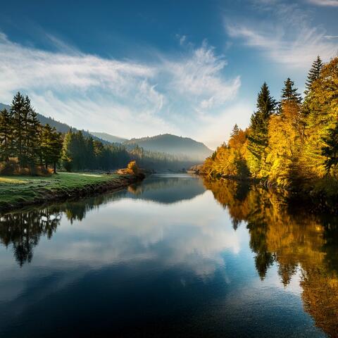 Music For The Heartbeat Of Quiet Mornings album art