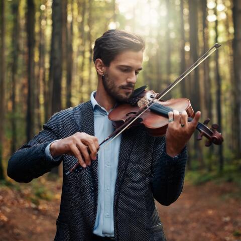Whispers Of Nature: An Orchestra Of The Elements album art