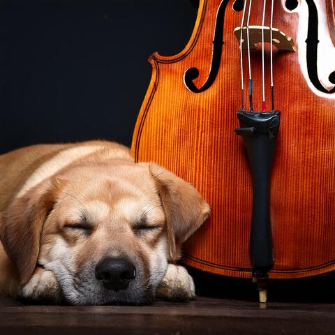 Orchestra Of Furry Companions: A Symphony For Dogs album art