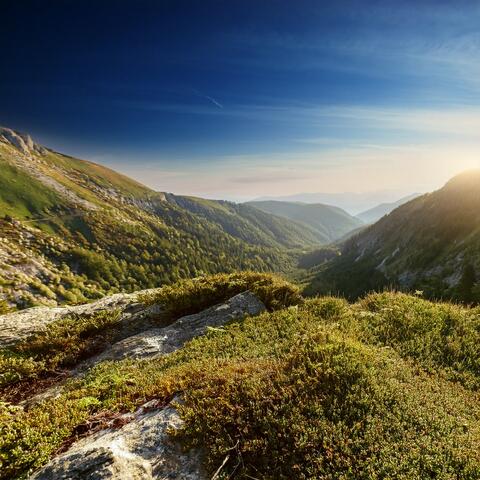 Music Of Unspoken Calm album art