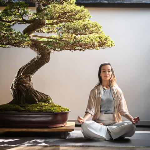 Music for Sacred Meditation and the Flow of Silence album art