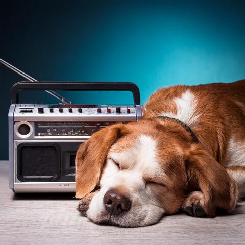 Hip Hop for Dogs and the Unseen Rhythm of Paws album art