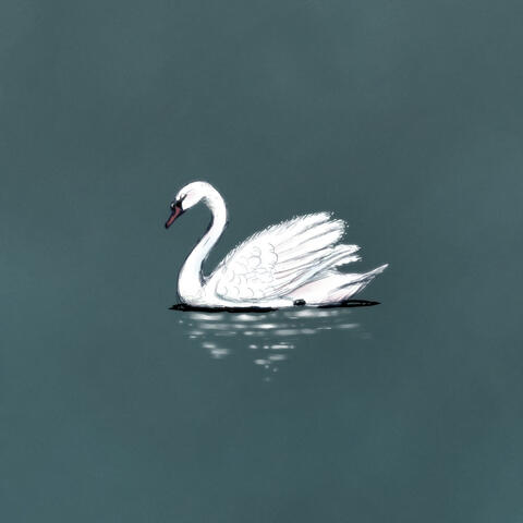 teenage disillusionment album art