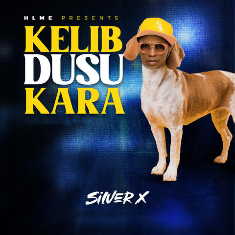 Kelip album art