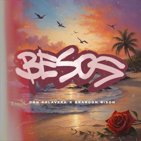 BESOS album art