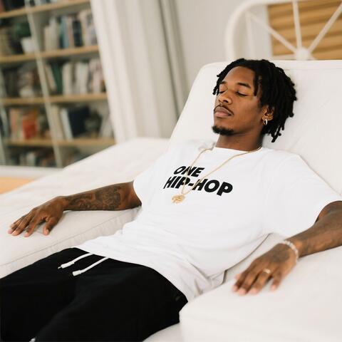 Relaxing Sounds of Hip Hop Beats album art