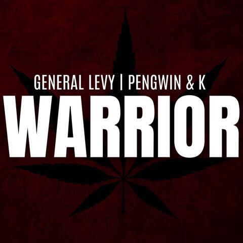 Warrior album art