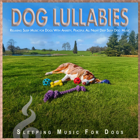 Dog Lullabies: Relaxing Sleep Music for Dogs With Anxiety, Peaceful All Night Deep Sleep Dog Music album art
