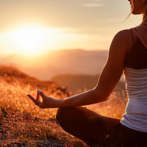 Music That Flows Through Meditation album art