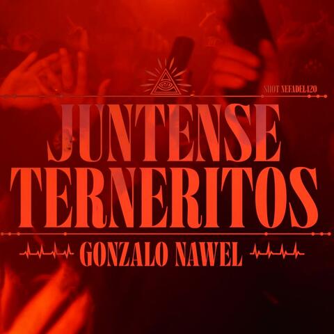Juntense Terneritos album art
