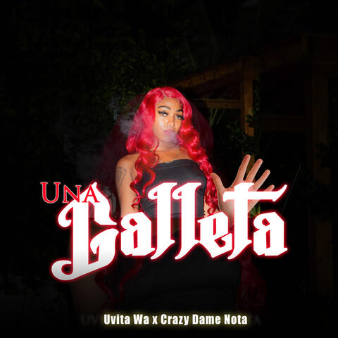 Una Galleta album art