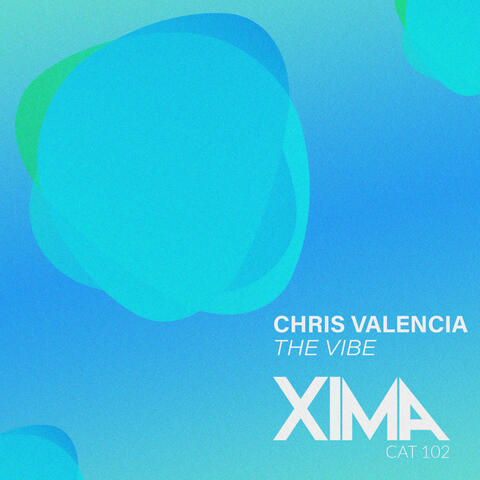 The Vibe album art