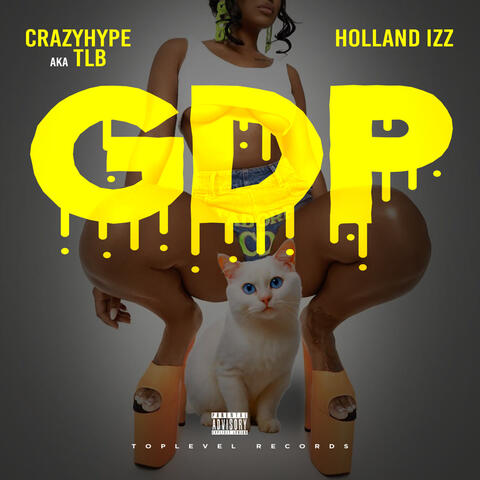 GDP album art