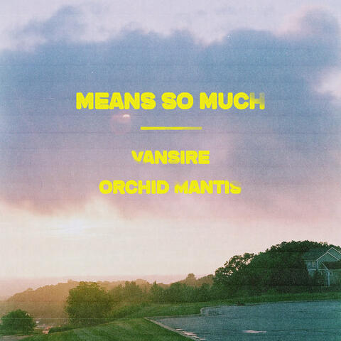 Means So Much album art