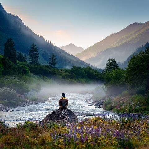 Relaxation In Nature: Music For Grounded Peace album art