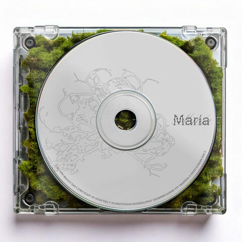 MARÍA album art