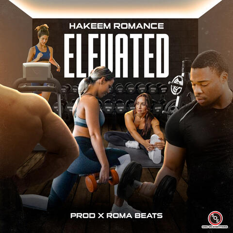 Elevated album art
