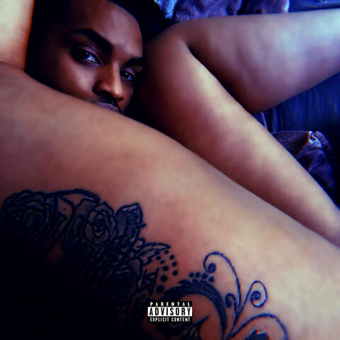 It was too good to be true album art