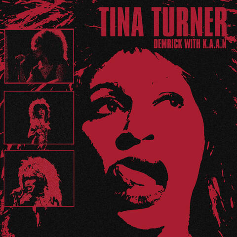 Tina Turner album art