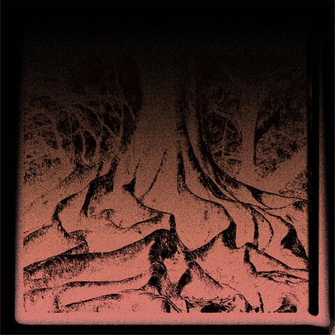 Langsam album art
