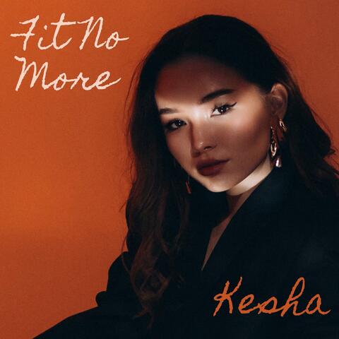 Fit No More album art