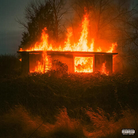 Ashes album art