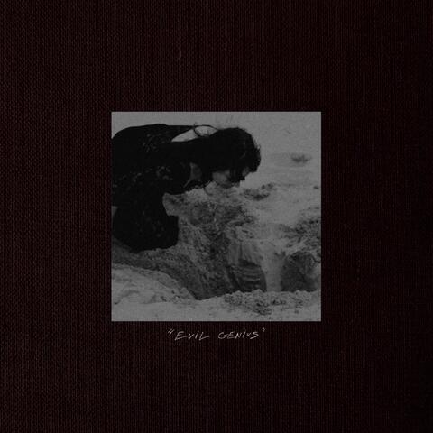 Evil Genius album art