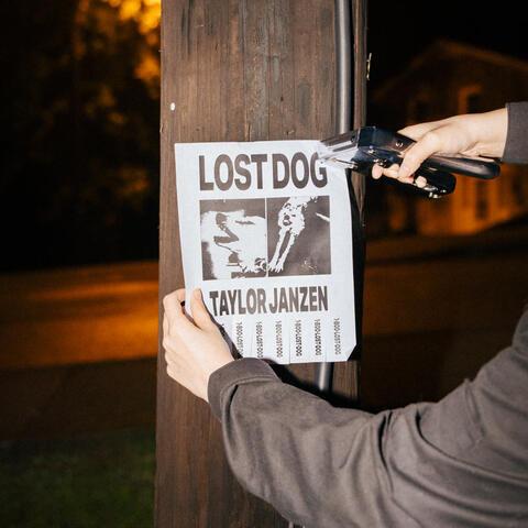 Lost Dog album art