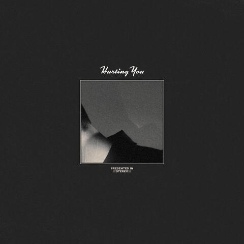 Hurting You album art