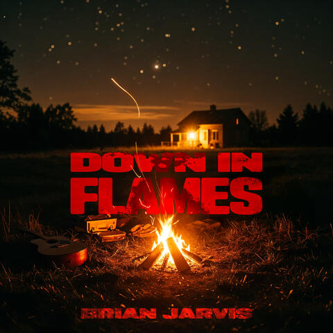 Down In Flames album art