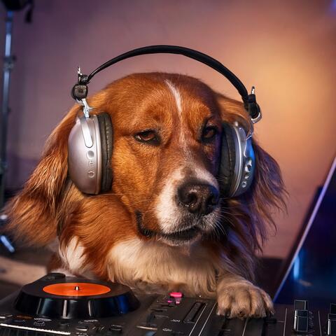 Lofi Music For Dogs: Calm Companions And Gentle Tails album art