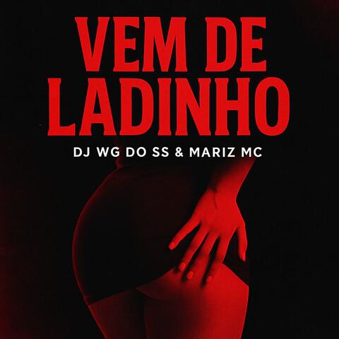 Vem de Ladinho album art