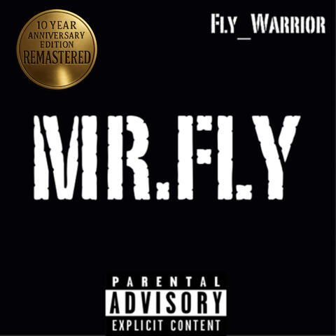 Mr.Fly album art