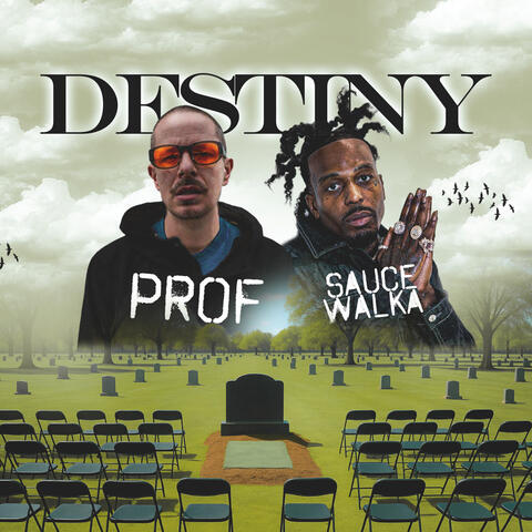 Destiny album art