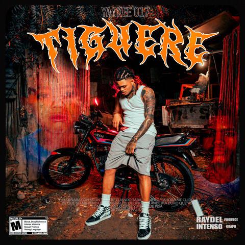 Tiguere album art