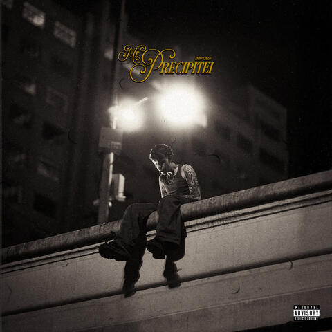 Me Precipitei album art
