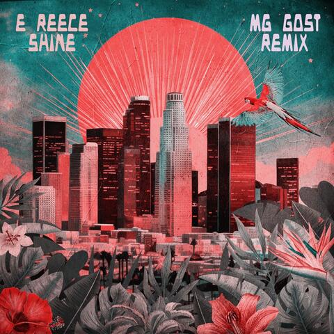 Shine album art