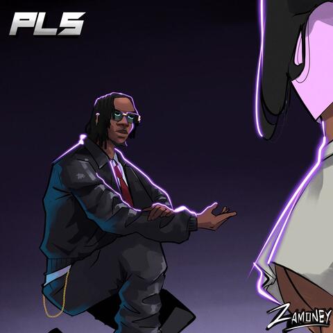 PLS album art