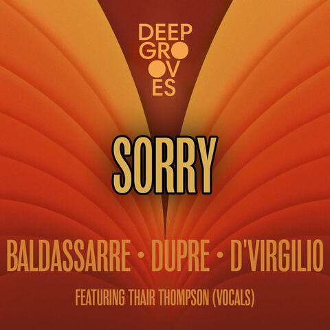 Sorry album art