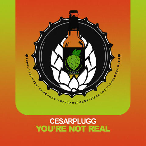 You're Not Real album art