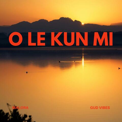 O LE KUN MI album art