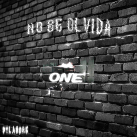 NO SE OLVIDA album art