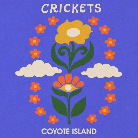Crickets album art